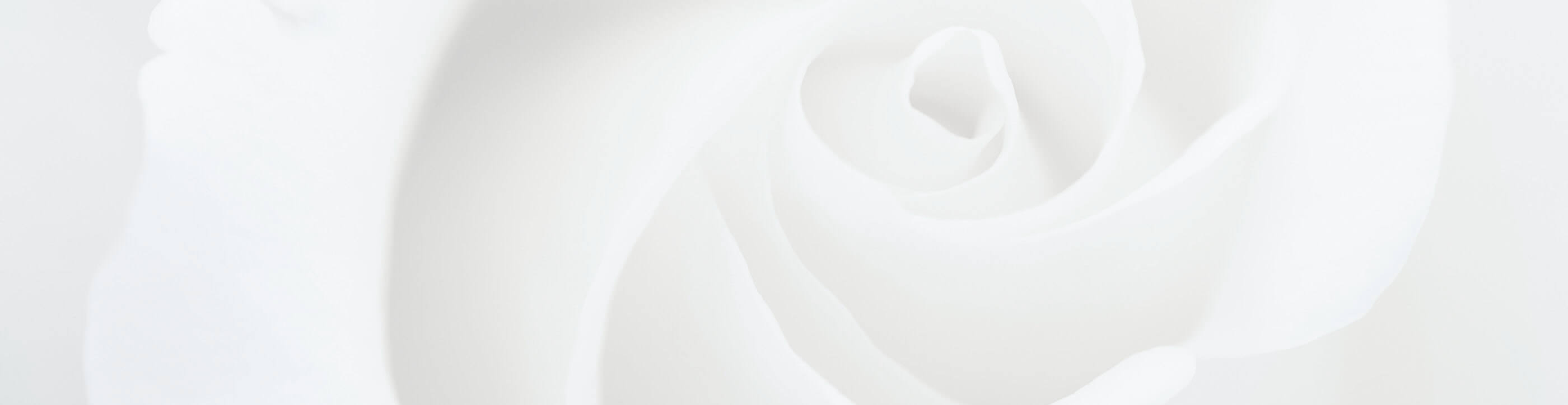 Flower Background. Desktop Image